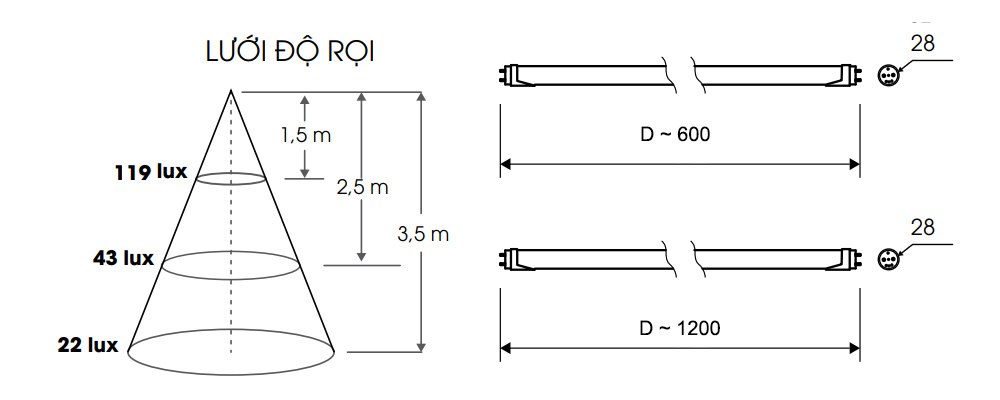 Kích thước Rạng Đông T8 1200/36W.DA : Bóng đèn Led Tube 36W