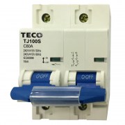MCB Teco TJ-100S 2P 80A
