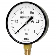 Đồng hồ đo áp suất WISE P110
