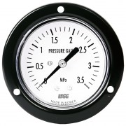 Đồng hồ đo áp suất WISE P112