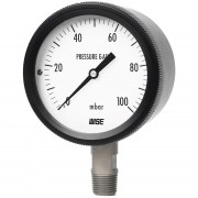 Đồng hồ đo áp suất WISE P430
