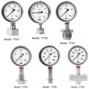 Đồng hồ đo áp suất WISE P750