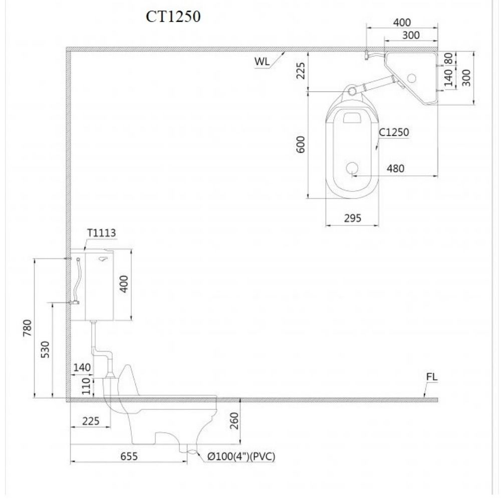 Kích thước Bồn Cầu Xổm CAESAR CT1250 Thùng T1113 Treo Tường